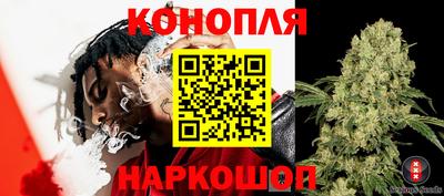 дживик Кунгур